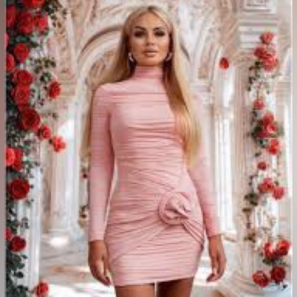 NWT H&M X Magda Butrym Rose-Appliquéd Mock Turtleneck Dress - Picture 9 of 16